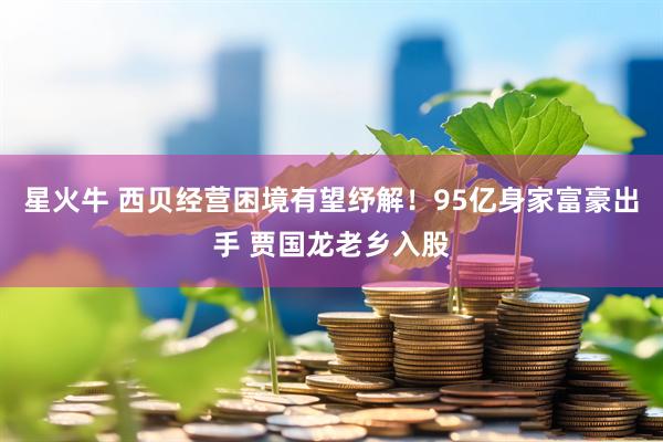 星火牛 西贝经营困境有望纾解！95亿身家富豪出手 贾国龙老乡入股