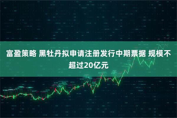 富盈策略 黑牡丹拟申请注册发行中期票据 规模不超过20亿元